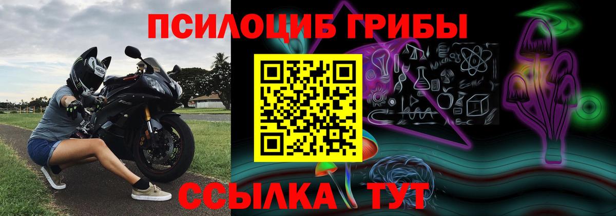Псилоцибиновые грибы MAGIC MUSHROOMS Кострома