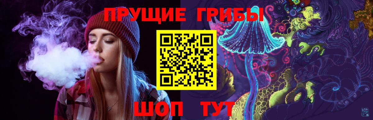 Псилоцибиновые грибы GOLDEN TEACHER  где продают наркотики  Кострома  Вход с VPN  Псилоцибиновые грибы Psilocybine cubensis 